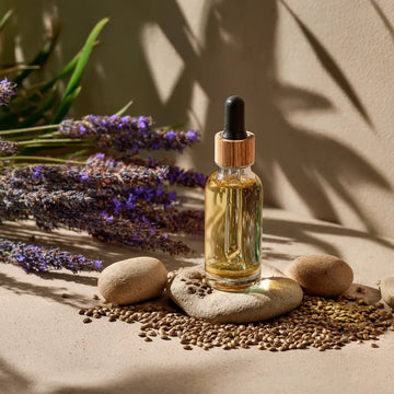 Ein Fläschchen CBD Öl auf einem Stein